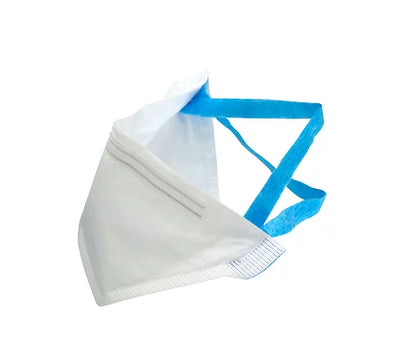WS - Disposable Masks (N95)